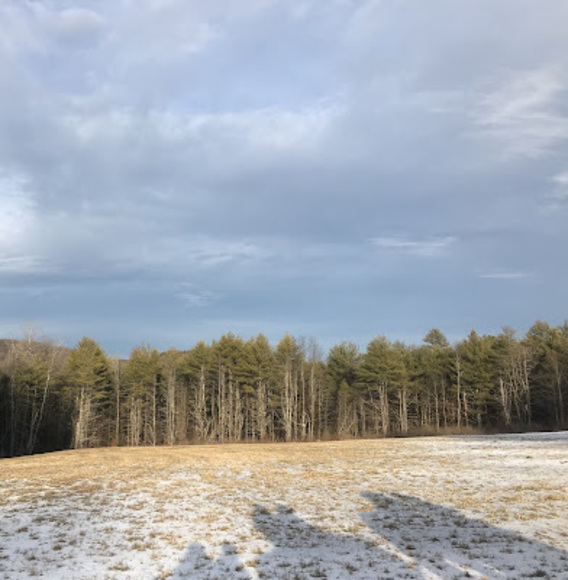 Meet your Posher, Calli waller - Picture 1 of 1